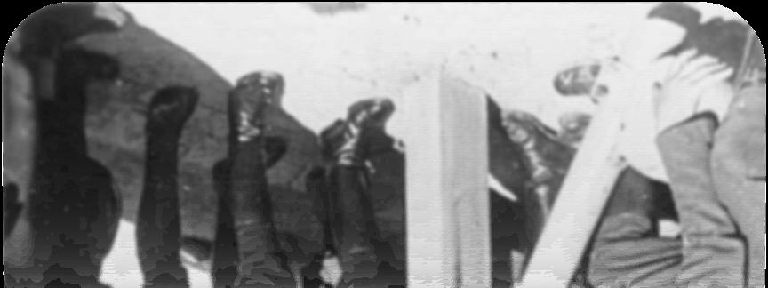 Anschluss Austrii 12 marca 1938 roku Adolf