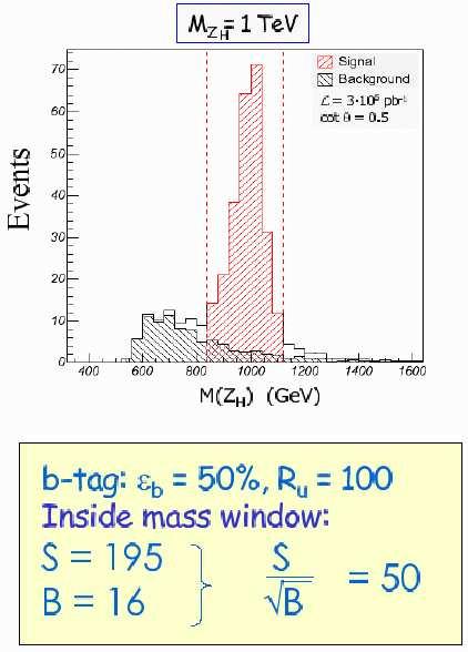 Mały Higgs Little Higgs Searches with