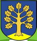Wójt Gminy