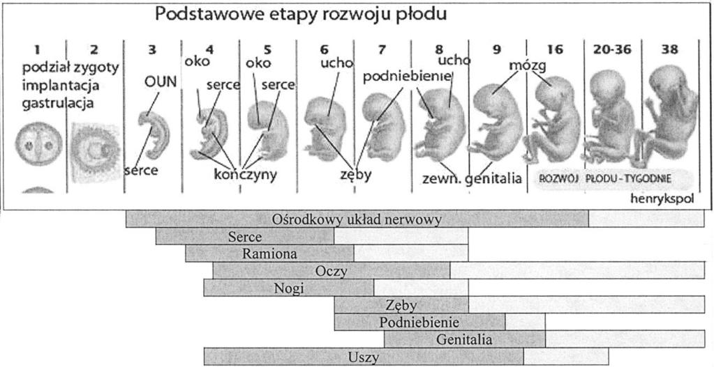 nie zawadzi 2.