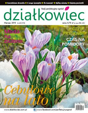 Czytajcie działkowca! Mamy przedwiośnie okres dużych zmian, kiedy to zima ustępuje długo wyczekiwanej wiośnie. Przyroda budzi do życia i moż przystępować do wiosennych prac.