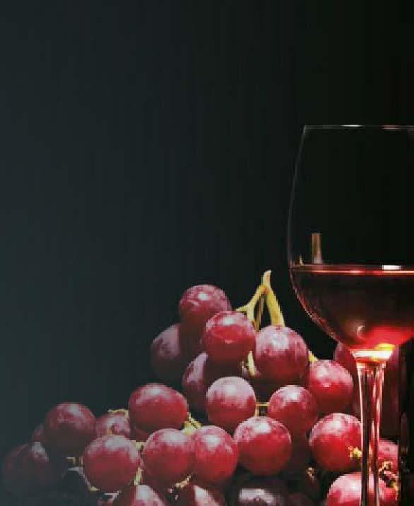 18 butelek (liczonych jako Bordeaux 0,75 l) regulacja temp.