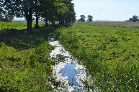 In practice: NATURA 2000 is a network of core breeding and resting sites for