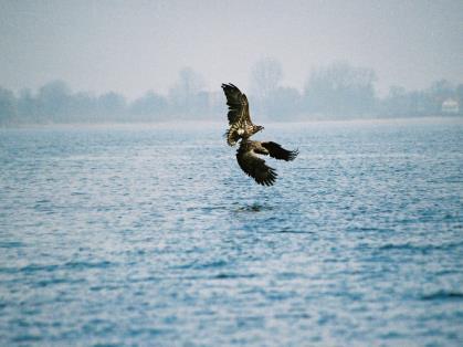 NATURA 2000 in Europe