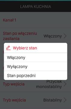 Uwagi: Dane wejście (IN1 lub IN2) można przypisać równocześnie do obu wyjść skutkuje to tym iż z poziomu danego wejścia można sterować jednocześnie kanałem 1 oraz kanałem 2.