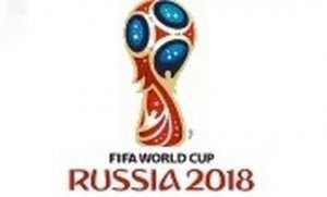 FIFA WORLD CUP 2018 - nabór do policyjnej delegacji Ogłoszenie w sprawie postępowania kwalifikacyjnego dla funkcjonariuszy Policji wchodzących w skład policyjnej delegacji wspierającej działania