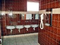 *Świetlice opiekuńczo-wychowawcze wsparcia dziennego (2 obiekty).