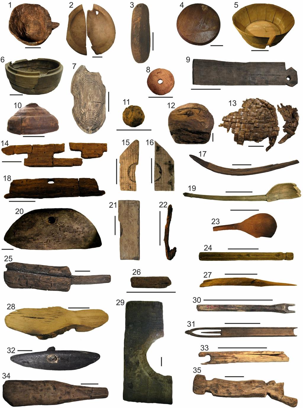 Results The identification of medieval wooden objects revealed the occurrence of 27 tree and shrub taxa (Table 3), and also Viburnum sp.