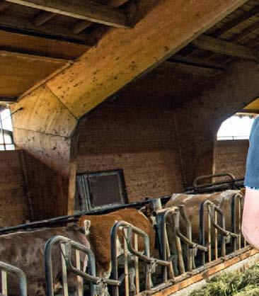 110 l - większa mo przy niższyh obrotah - Ładowaz zołowy Fendt CaroProfi wyposażony w intelientne funkje - Prosta obsłua za pośrednitwem VarioCenter z terminalem Vario 7 i obszernym pakietem opji