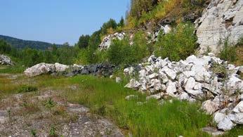 Nowe stanowisko skrzypu pstrego Equisetum variegatum Schleich. ex Weber & Mohr w Masywie Śnieżnika... 15 Fot. 3. Młaki z udziałem Equisetum variegatum koło Stronia Śląskiego, 12.08.2015 (fot. K.