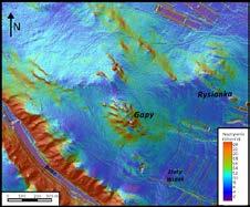 258 Aleksandra Michniewicz Ryc. 3. Mapa nachyleń wygenerowana z cyfrowego modelu wysokościowego w rozdzielczości 3 x 3 m. Fig. 3. Slope map generated from digital elevation model of 3 x 3 m resolution.