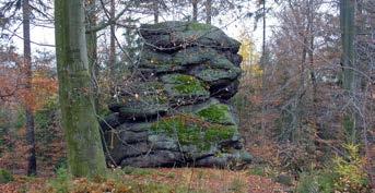 266 Aleksandra Michniewicz Fot. 6. Baszta skalna w grupie Rysianki (fot. A. Michniewicz). Phot. 6. Rock tower in the Rysianka tor group (photo A. Michniewicz). odmienną morfologię niż formy położone na zachód od niej.