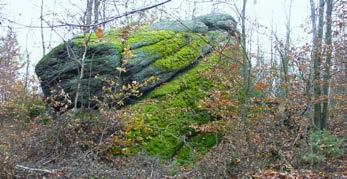 Granitognejsowe formy skalne masywu Gap na Pogórzu Izerskim 267 Fot. 7. Masywna skałka na północnym stoku Rysianki (fot. A. Michniewicz). Phot. 7. Massive tor on the northern slope of the Rysianka hill (photo A.
