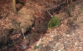 The areal groundwater seepages are visible on the right (photo A. Traczyk). Fot. 6.