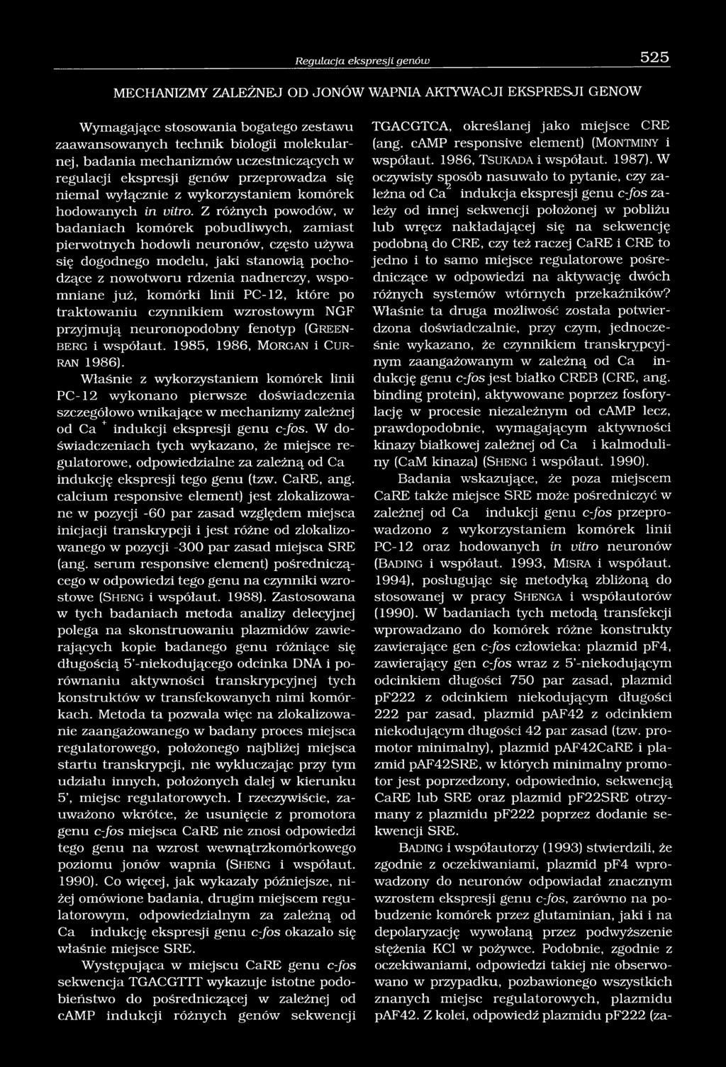 Z różnych powodów, w badaniach komórek pobudliwych, zamiast pierwotnych hodowli neuronów, często używa się dogodnego modelu, jaki stanowią pochodzące z nowotworu rdzenia nadnerczy, wspomniane już,
