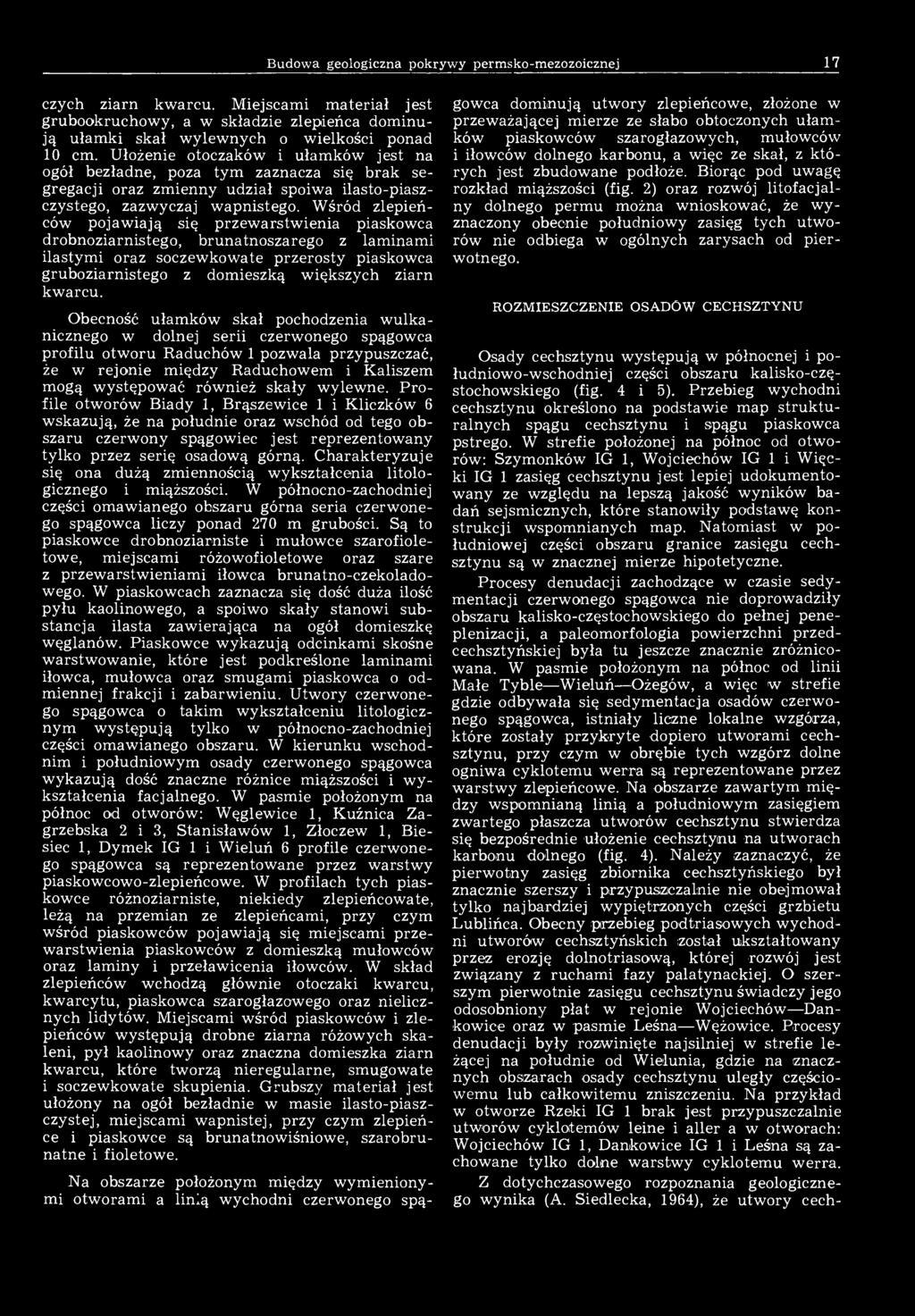 Budowa geologiczna pokrywy permsko-mezozoicznej 17 czych ziarn kwarcu. Miejscami materiał jest grubookruchowy, a w składzie zlepieńca dominują ułamki skał wylewnych o wielkości ponad 10 cm.