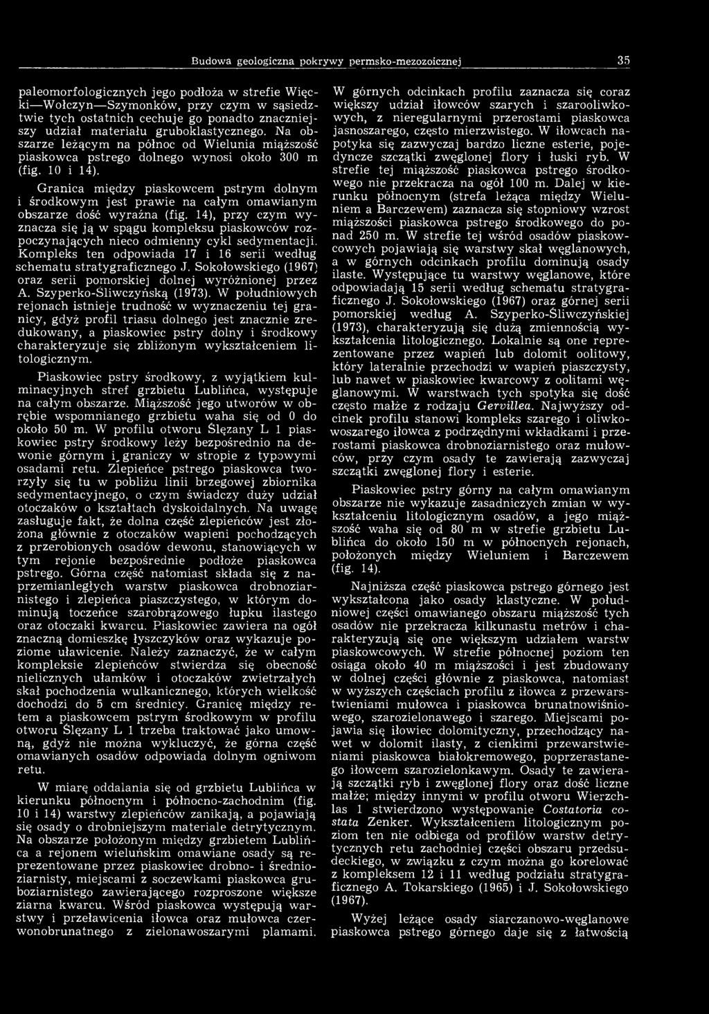 Budowa geologiczna pokrywy permsko-mezozoicznej 35 paleomorfologicznych jego podłoża w strefie Więcki Wołczyn Szymonków, przy czym w sąsiedztwie tych ostatnich cechuje go ponadto znaczniejszy udział