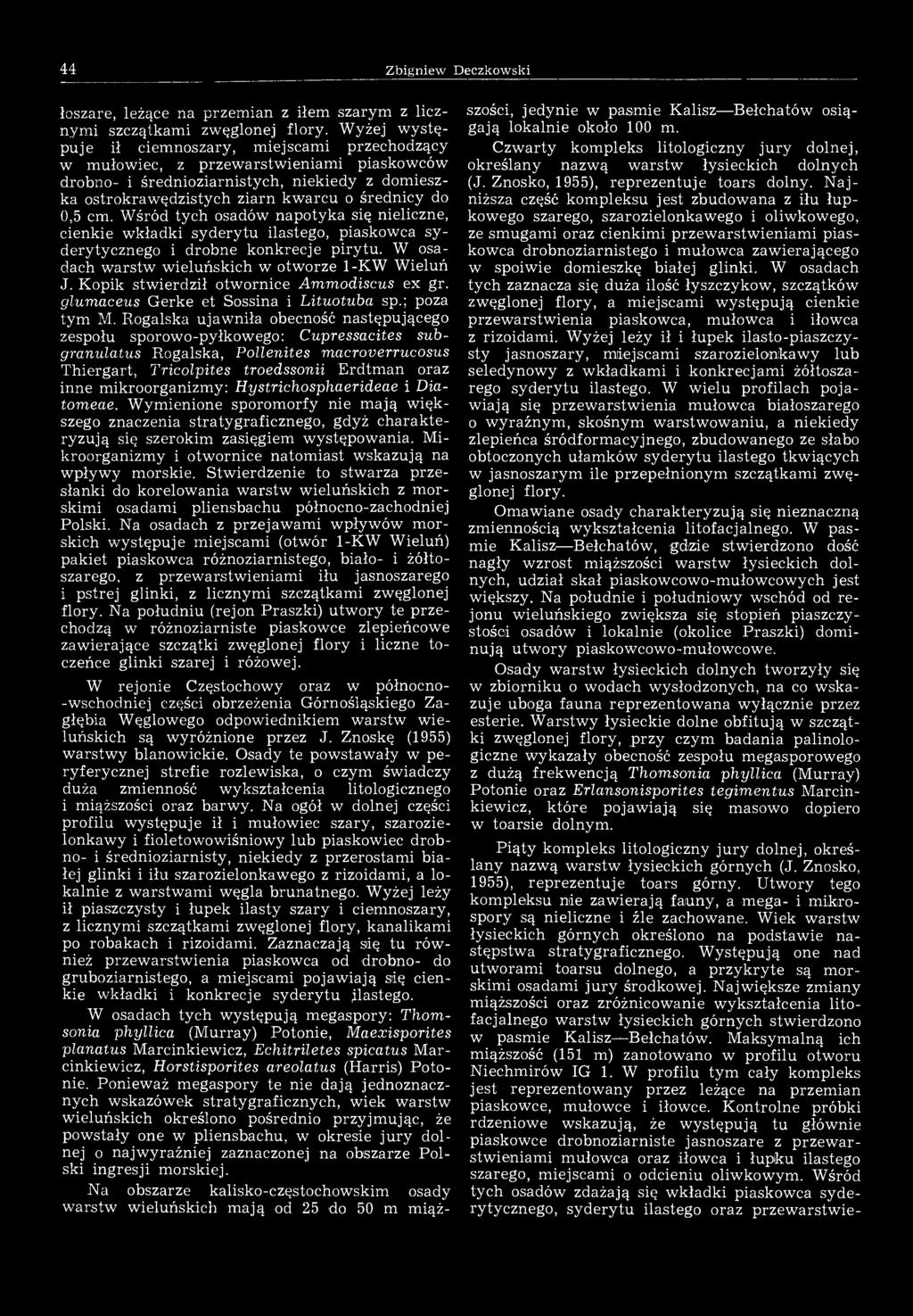 44 Zbigniew Deczkowski łoszare, leżące na przemian z iłem szarym z licznymi szczątkami zwęglonej flory.