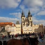 startem w zawodach, gdzie
