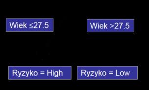 Przykład (6) Drzewo decyzyjne, po pierwszym podziale zbioru