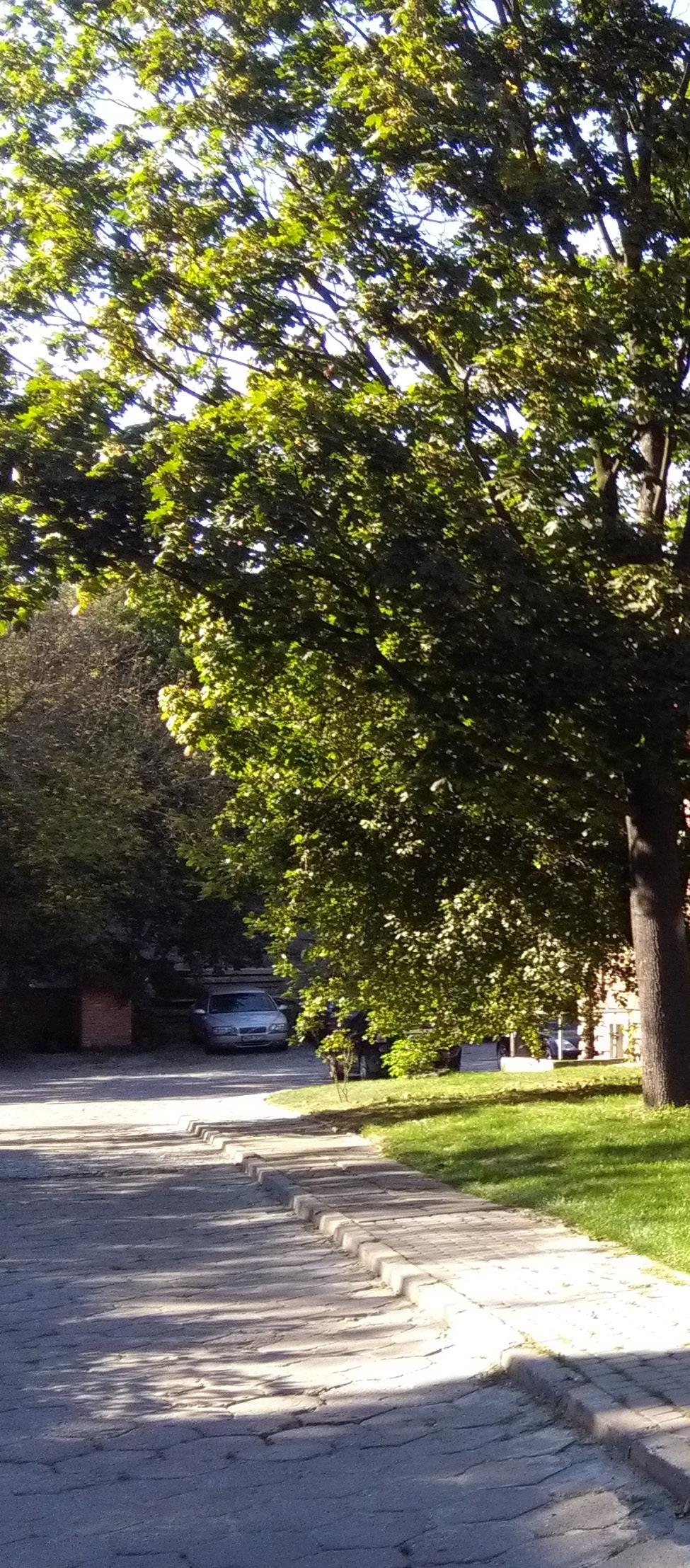 Imprezy, wydarzenia, plany filmowe etc. Z przyjemnością gościmy większe i mniejsze przedsięwzięcia kulturalne, artystyczne czy biznesowe.