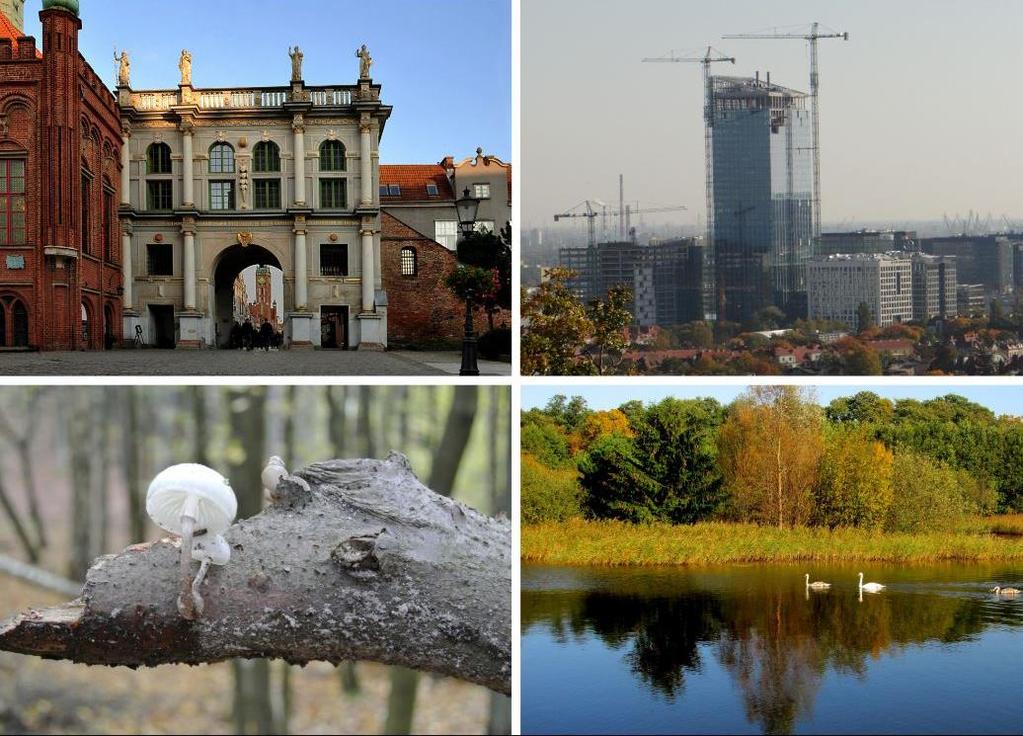 WYSTAWA Piękno Gdańska w obiektywie seniorów Zapraszamy na wernisaż wystawy fotograficznej "Piękno Gdańska w obiektywie seniorów".