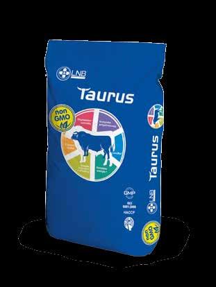 Bydło opasowe Mieszanka Paszowa Uzupełniająca na nośniku białkowym Taurus SAP: 10000030858 Zaawansowany koncentrat dla bydła opasowego od 6 miesiąca życia.