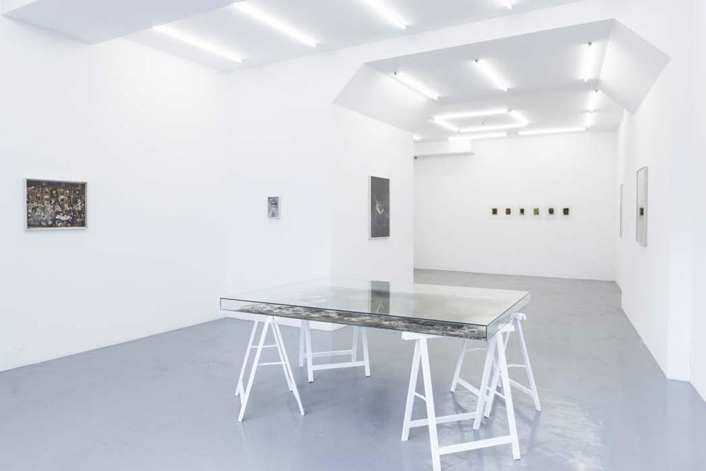 Wystawa Diany Lelonek stanowi rozwinięcie projektu Zoe-terapia, prezentowanego po raz pierwszy w ramach cyklu Project Room w Centrum Sztuki Współczesnej Zamek Ujazdowski w Warszawie w 2015 roku.