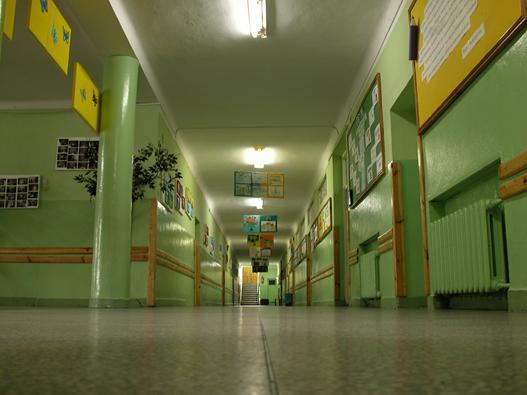 Sala Widowiskowo - Sportowa Kluczowym punktem w rozwoju naszej placówki była budowa Sali Widowiskowo - Sportowej, oddanej do użytkowania 14 października 2009 roku.