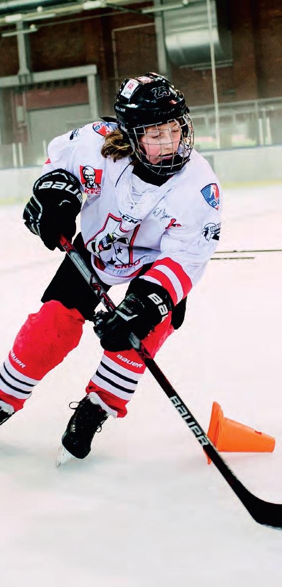 FIRMY WSPIERAJĄCE PROJEKT Hockey has taught our son the value of teamwork, toughness,