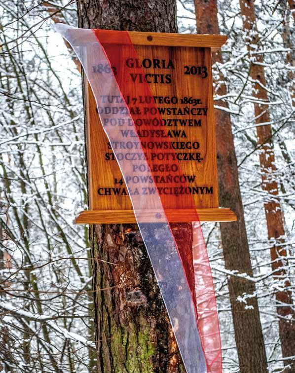 Pamięć Powstanie styczniowe w Puszczy Bolimowskiej Podczas powstania styczniowego nie doszło do decydującej, czy choćby znaczącej bitwy, stoczono natomiast około 1200 mniejszych i większych potyczek.