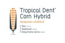 .pl https://www..pl Odmianę kukurydzy zawsze wybieramy w oparciu o warunki klimatyczne oraz glebowe panujące w gospodarstwie. Jest to kluczowy czynnik, który ma wpływ plon.