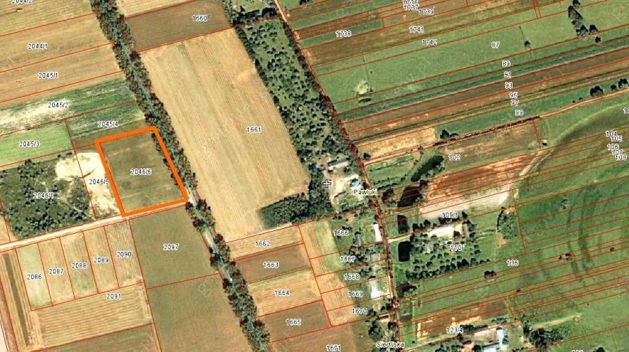Działka przeznaczona pod inwestycję to 631. Rys. 6 Działka 631 w Pawlukach DOŁHOBRODY Miejsce lokalizacji wieży widokowej.