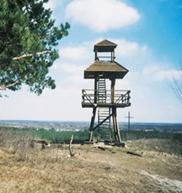 za pomocą kotew zabetonowanych w podłożu. Rys.