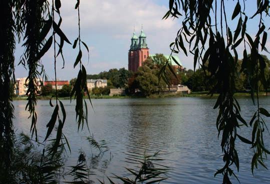 Problem zarastających jezior Jeziora położone w centrum Miasta Gniezna od wielu już dziesięcioleci spełniały funkcję rekreacyjną dostarczając mieszkańcom możliwości aktywnego odpoczynku na świeżym