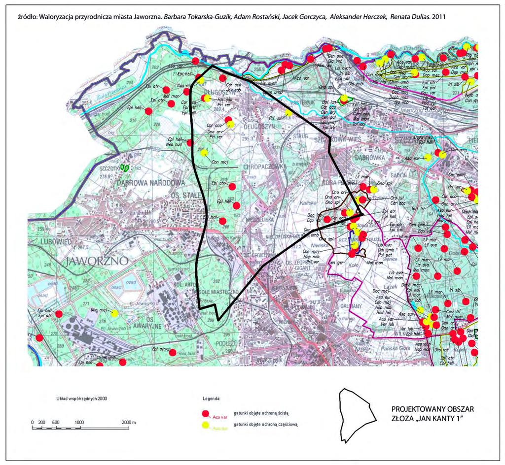 Rysunek 9. Mapa rozmieszczenia gatunków dziko występujących roślin objętych ochroną na terenie projektowanego złoża Jan Kanty 1 (Tokarska Guzik B. i in.