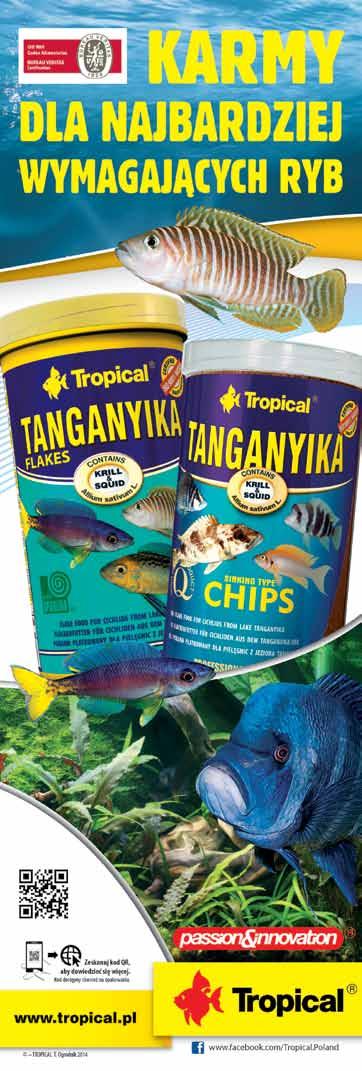 Konings A., Back to Nature. Przewodnik po świecie pielęgnic z Tanganiki, Fohrman Aquaristik AB Tigra System Polska, 2005. Łątka L.