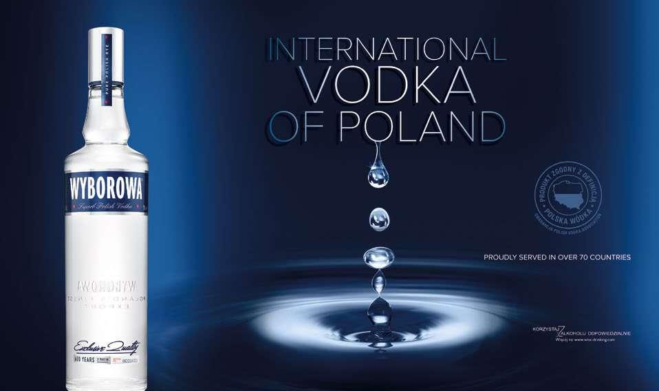 ABSOLUT BLUE 24 99 z VAT 30,74 zł cena za 0,5