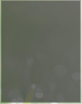 Aster Krallen 00-667 1 op.