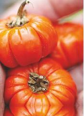 Mają one wyśmienity smak, obniżają poziom cholesterolu, są uznawane za afrodyzjak. Kiwano 00-795 1 op.