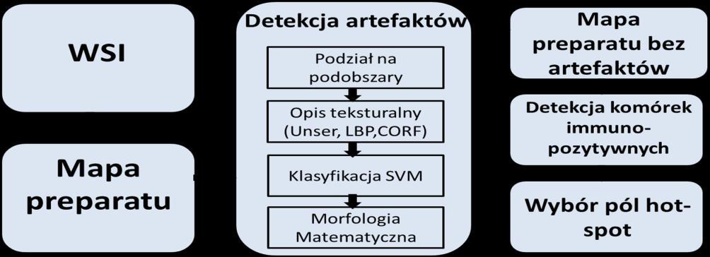 oponiaki oraz skąpodrzewiaki polega na analizie ilościowej (oszacowaniu liczby komórek nowotworowych z uwzględnieniem ich immunoreaktywności) wybranych pól nazywanych hot-spotami.