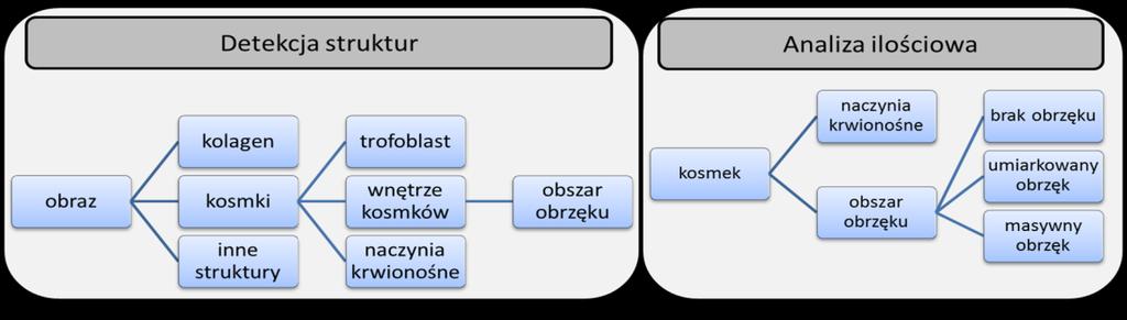 Automatyczna analiza obszarów zainteresowania w preparatach przedstawiających fragmenty łożysk pochodzące z samoistnych poronień w pierwszym trymestrze ciąży Drugi z zaproponowanych systemów związany