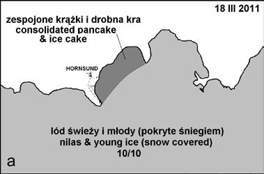 Ryc. 6. Rozmieszczenie lodu w Isbjornhamnie 18 marca (a) i 20 kwietnia (b) 2011 r. Fig. 6. Distribution of ice in Isbjornhamna on 18 March (a) and 20 April (b) 2011.