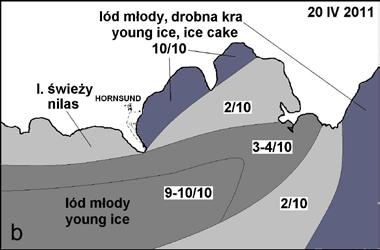 Isbjornhamny, przy nasilaniu się wiatrów wschodnich. Dobrze ilustruje to ryc. 6b, przedstawiająca sytuację z 20 kwietnia.