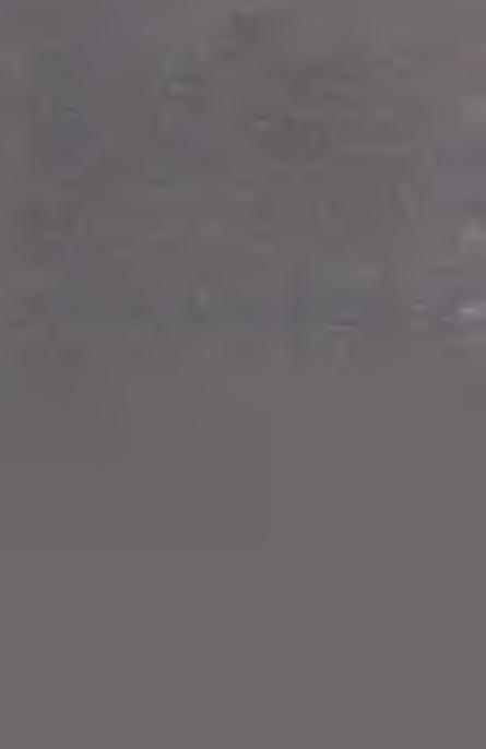 36 E.A. Puch marital distances expressed by <the order of neighbourhood> which is a measure of eco-cultural distances.