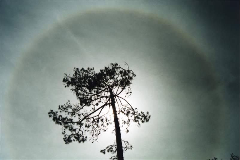 Zjawisko halo Halo (od greckiego hálos - tarcza słoneczna) - jest to świetlisty, biały