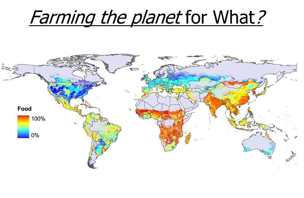 Wykorzystanie powierzchni uprawnej Żywność Ramankutty, N., A. Evan, C. Monfreda, and J. A. Foley (2008), Farming the planet: 1.