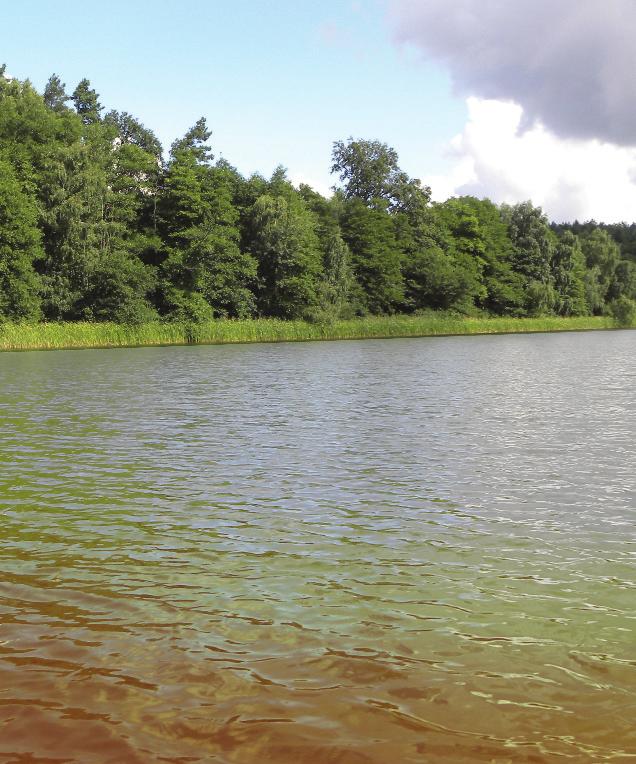 Przyczyn brązowienia wód upatruje się głównie w zmianach klimatycznych, które mogą modyfikować jakość i ilość materii organicznej dopływającej z lądu do wód.