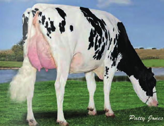 DAWCZYNIE ZARODKÓW Russelway Cameron Pinky Glo Crest O-Man Pirate 4092 EX 90 Pierrette rette DE0666869569 ur.