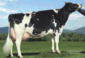 PL 2,88 SCS +0,1 DPR type +1,43 UDC +1,66 F&L +1,54 PTAT EDG RUBICON WATERMOLEN SUPERSIRE PRISS 1st test: 38kgM 3.8&F 3.